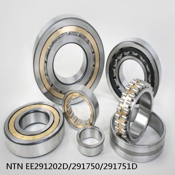 EE291202D/291750/291751D NTN Cylindrical Roller Bearing