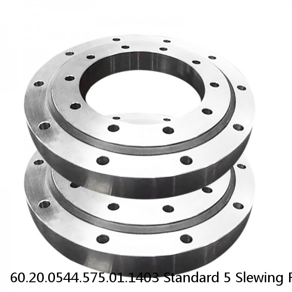 60.20.0544.575.01.1403 Standard 5 Slewing Ring Bearings #1 small image