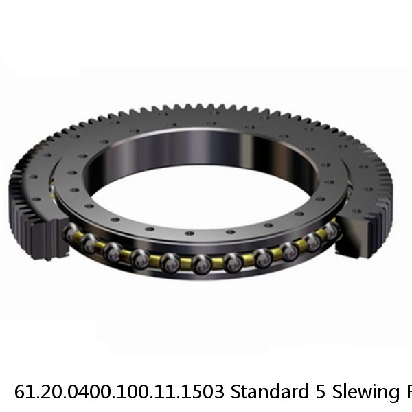 61.20.0400.100.11.1503 Standard 5 Slewing Ring Bearings #1 small image