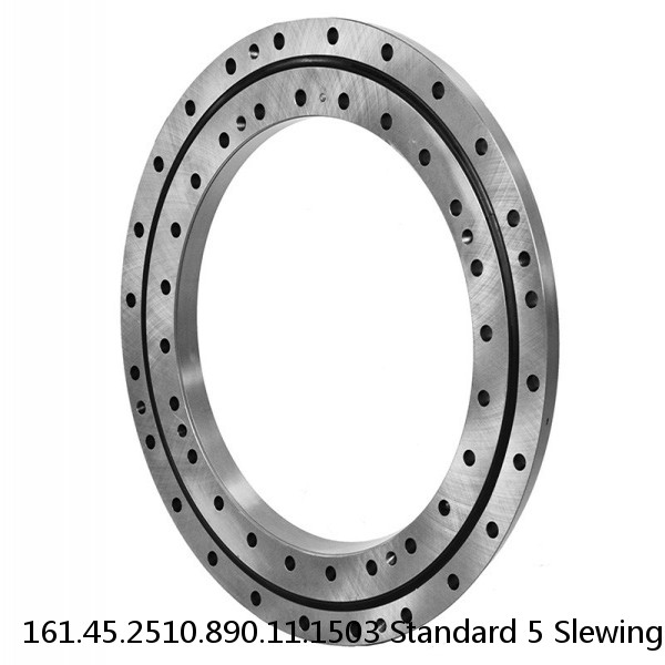 161.45.2510.890.11.1503 Standard 5 Slewing Ring Bearings #1 small image