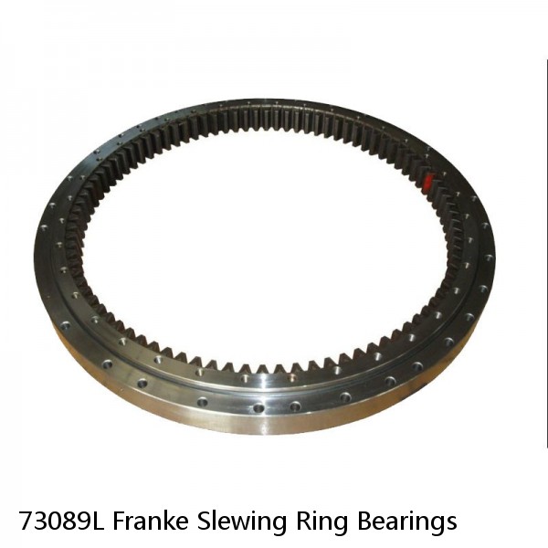 73089L Franke Slewing Ring Bearings #1 small image
