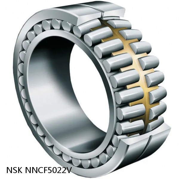NNCF5022V NSK CYLINDRICAL ROLLER BEARING #1 small image