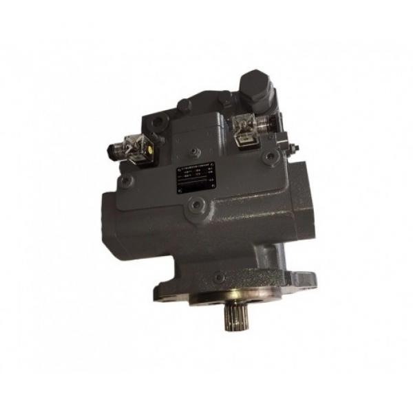 Rexroth A4vg 250-1 A4vg250-2 Hydraulic Charge Pump Gear Pump Repair Kit #1 image