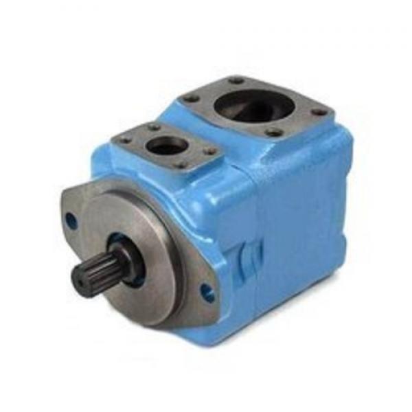 Cartridge Kits for Yuken PV2r Series Hydraulic Vane Pump #1 image