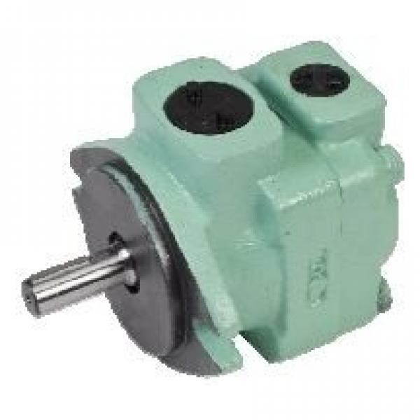 PV2r Series Hydraulic Vane Pump #1 image