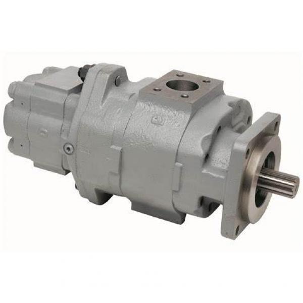 Hydraulic internal gear pump, pgh gear pump, pgh-3x #1 image