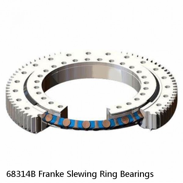 68314B Franke Slewing Ring Bearings #1 image