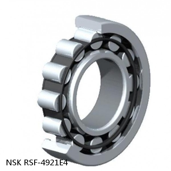 RSF-4921E4 NSK CYLINDRICAL ROLLER BEARING #1 image